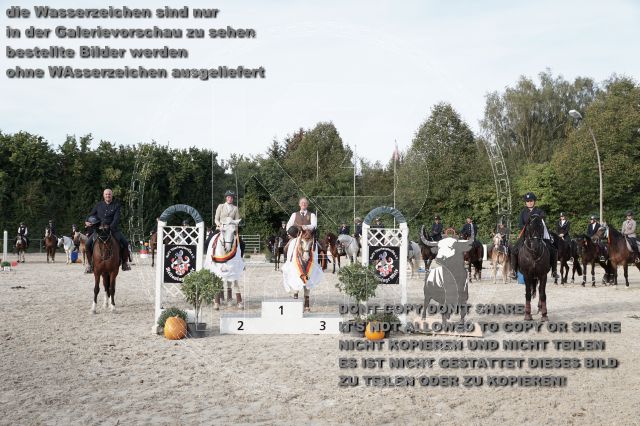a_DSC06653.JPG